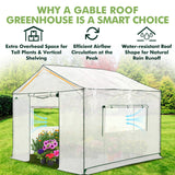 6x6/ 8x8/ 10x10 Portable Pop Up Greenhouse, Patented Center Lock with Gable Roof - Eagle Peak®
