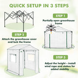 6x6/ 8x8/ 10x10 Portable Pop Up Greenhouse, Patented Center Lock with Gable Roof - Eagle Peak®