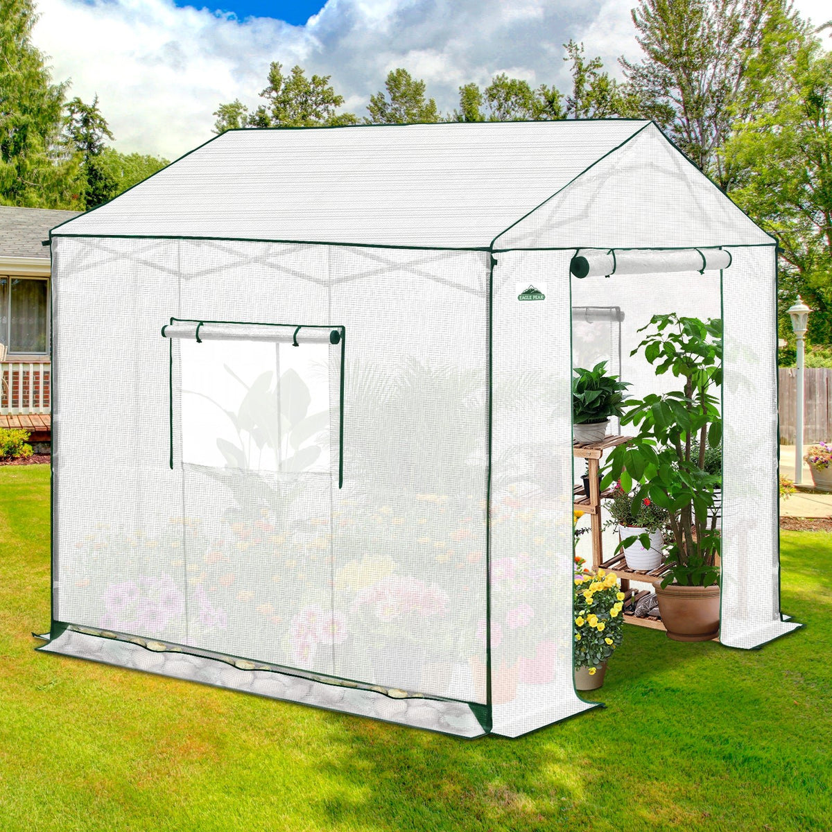 6x6/ 8x8/ 10x10 Portable Pop Up Greenhouse, Patented Center Lock with Gable Roof - Eagle Peak®