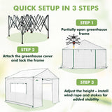 6x6/ 8x8/ 10x10 Portable Pop Up Greenhouse, Patented Center Lock with Gable Roof - Eagle Peak®