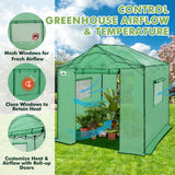 6x6/ 8x8/ 10x10 Portable Pop Up Greenhouse, Patented Center Lock with Gable Roof - Eagle Peak®
