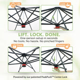 6x6/ 8x8/ 10x10 Portable Pop Up Greenhouse, Patented Center Lock with Gable Roof - Eagle Peak®