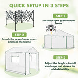 6x6/ 8x8/ 10x10 Portable Pop Up Greenhouse, Patented Center Lock with Gable Roof - Eagle Peak®