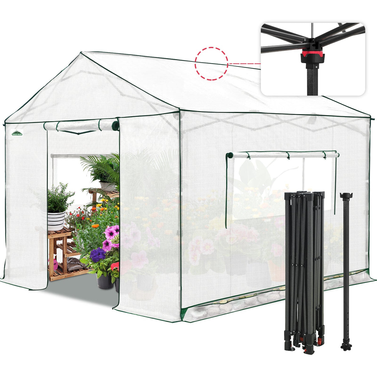 6x6/ 8x8/ 10x10 Portable Pop Up Greenhouse, Patented Center Lock with Gable Roof - Eagle Peak®