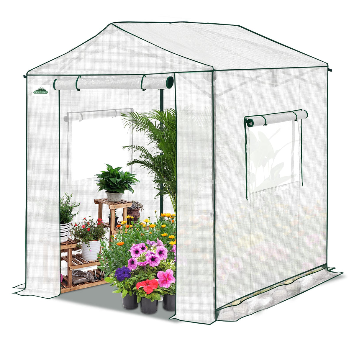 6x6/ 8x8/ 10x10 Portable Pop Up Greenhouse, Patented Center Lock with Gable Roof - Eagle Peak®