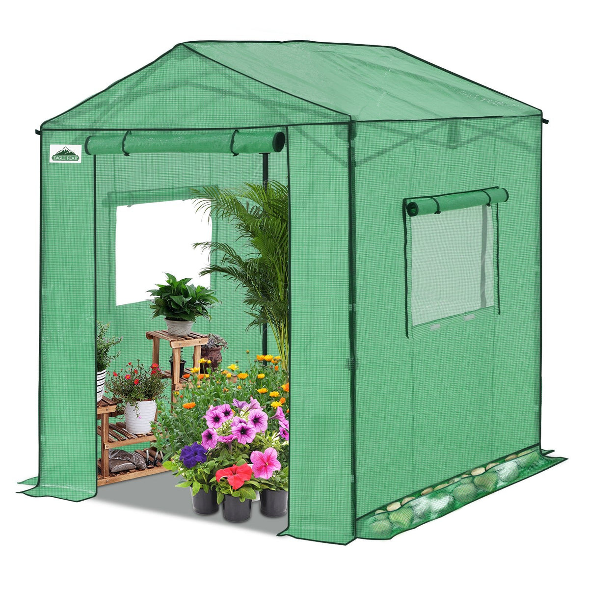 6x6/ 8x8/ 10x10 Portable Pop Up Greenhouse, Patented Center Lock with Gable Roof - Eagle Peak®