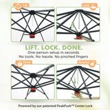 6x6/ 8x8/ 10x10 Portable Pop Up Greenhouse, Patented Center Lock with Gable Roof - Eagle Peak®