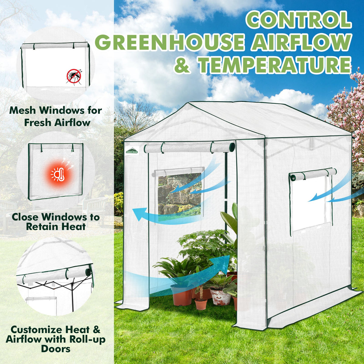 6x6/ 8x8/ 10x10 Portable Pop Up Greenhouse, Patented Center Lock with Gable Roof - Eagle Peak®