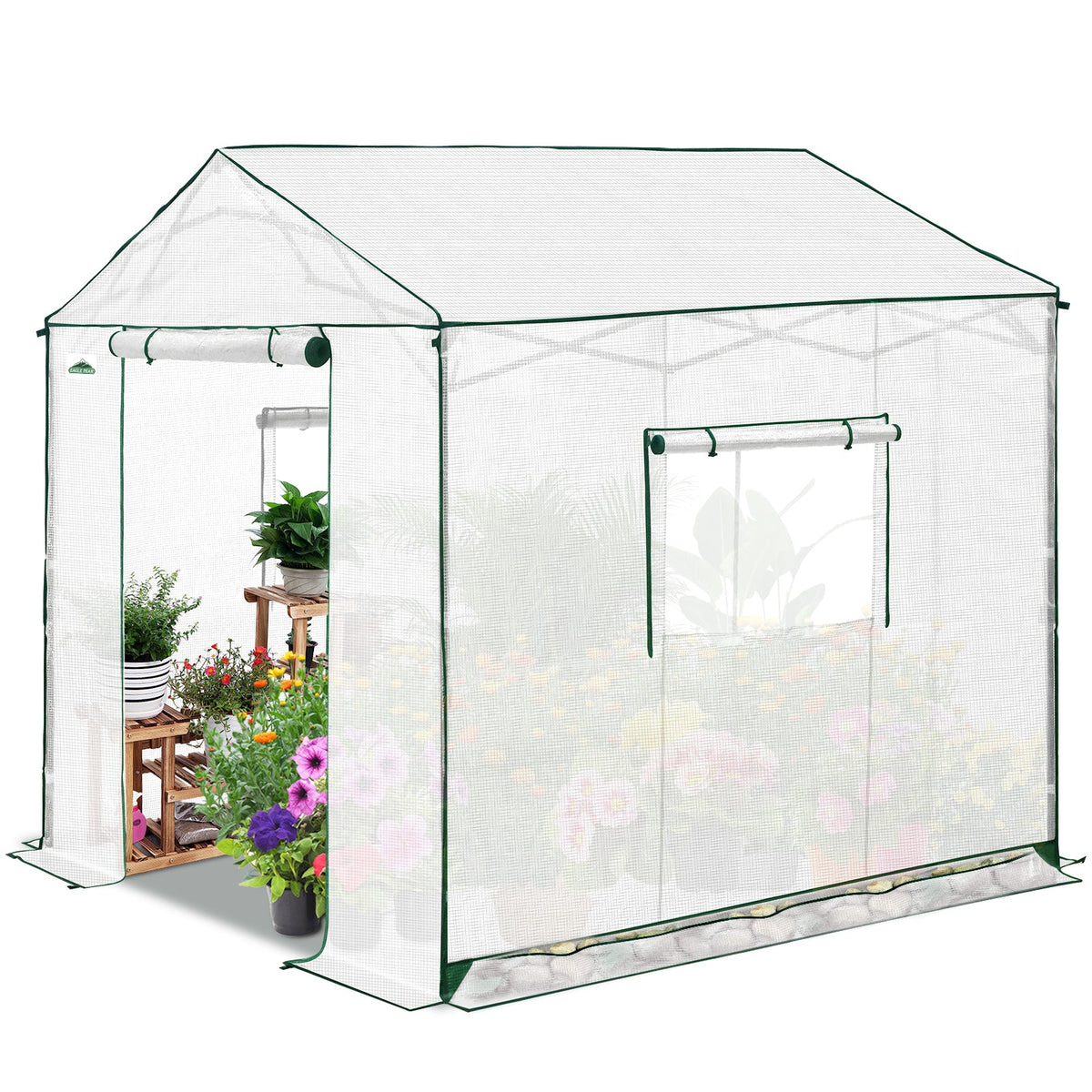 6x6/ 8x8/ 10x10 Portable Pop Up Greenhouse, Patented Center Lock with Gable Roof - Eagle Peak®