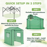 6x6/ 8x8/ 10x10 Portable Pop Up Greenhouse, Patented Center Lock with Gable Roof - Eagle Peak®