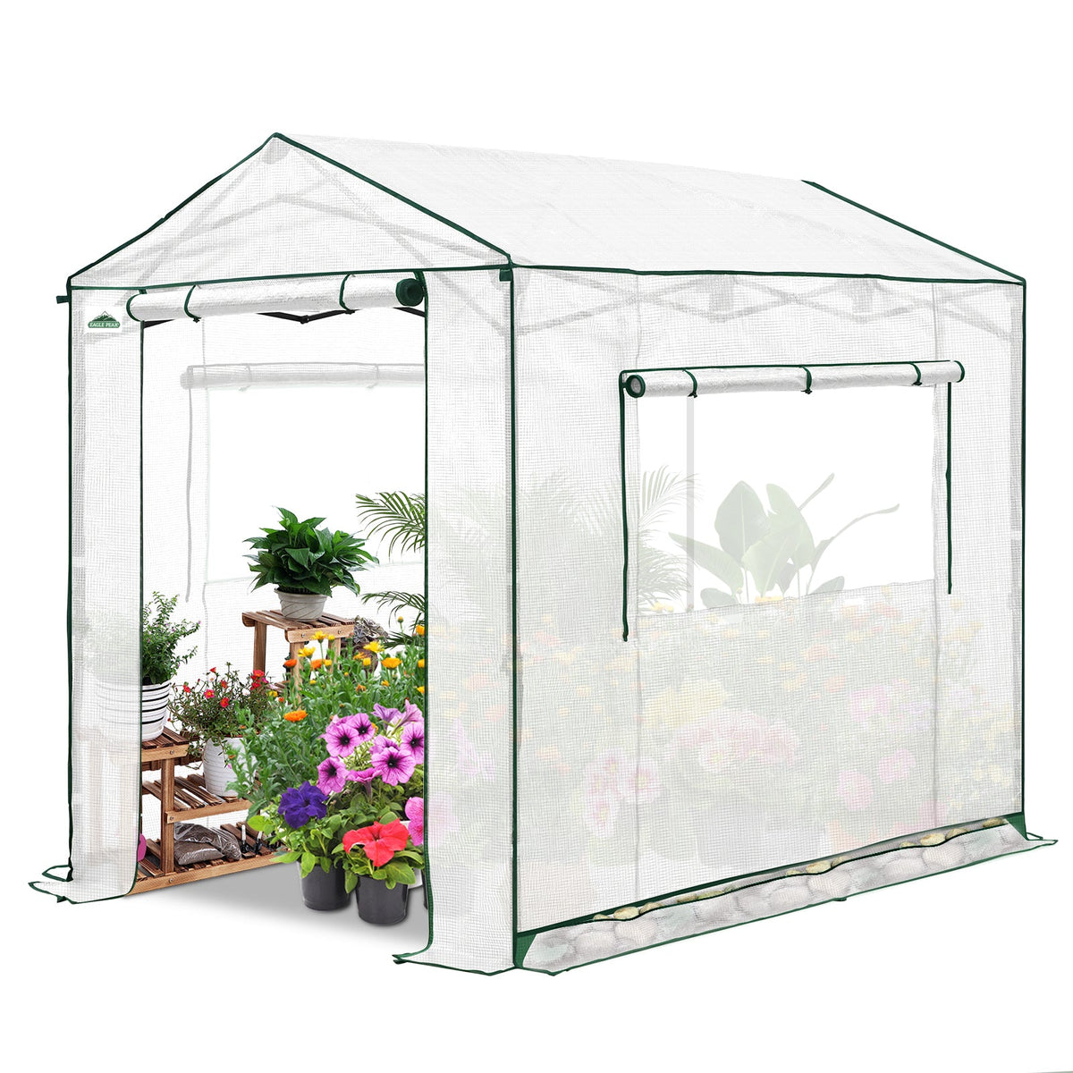 6x6/ 8x8/ 10x10 Portable Pop Up Greenhouse, Patented Center Lock with Gable Roof - Eagle Peak®