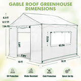 6x6/ 8x8/ 10x10 Portable Pop Up Greenhouse, Patented Center Lock with Gable Roof - Eagle Peak®