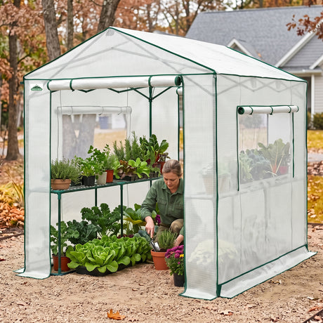 6x6/ 6x8/ 8x8/ 10x10 Pop Up Walk In Greenhouse, Easy Setup, Gable Roof