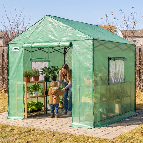 6x6/ 6x8/ 8x8/ 10x10 Pop Up Walk In Greenhouse, Easy Setup, Gable Roof