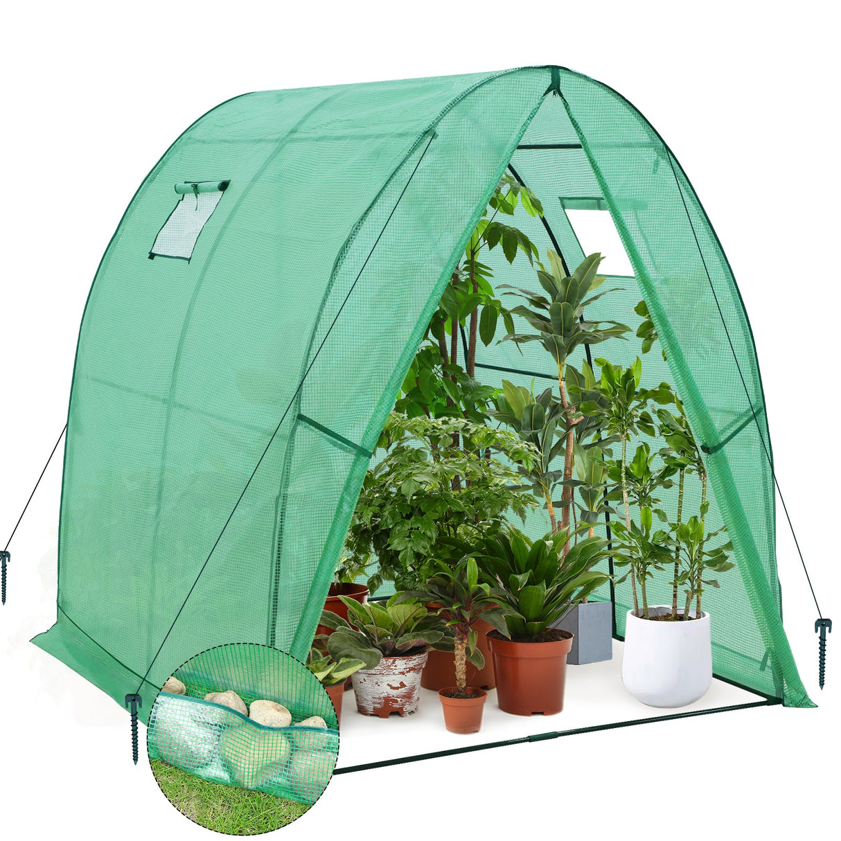 70.9"x70.9"x78.7" Tunnel Greenhouse - Eagle Peak Custom Canopy Tent