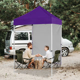 EAGLE PEAK Straight Leg Outdoor Portable Canopy Tent with Removable Sunwalls 5x5 ft, Carry Bag Included