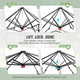 6x4/8x6/10x10 Portable Walk in Greenhouse with Polyester Reinforced Corners, Gray/White, Green/White
