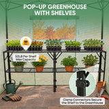 7x7 Easy Setup Pop Up Greenhouse, 2 Folding Shelves - Eagle Peak®