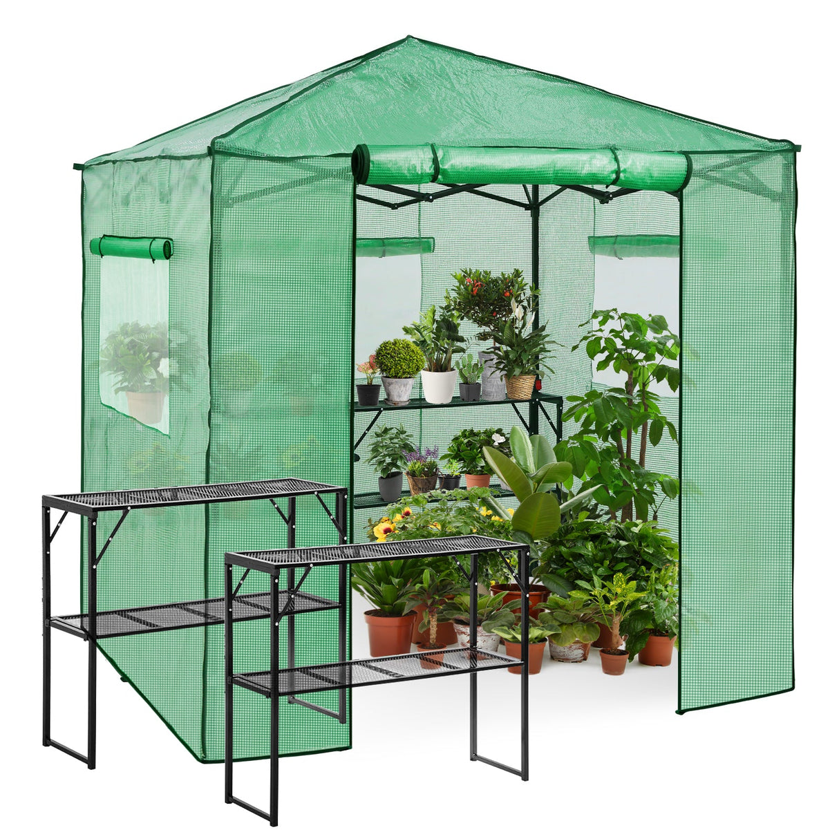 7x7 Pop up Greenhouse Portable Walk - in with 2 Foldable Shelves - Eagle Peak
