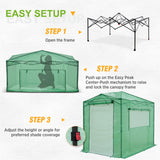 8x6 Walk - in Greenhouse with Upgraded Screen Mesh Door - Eagle Peak