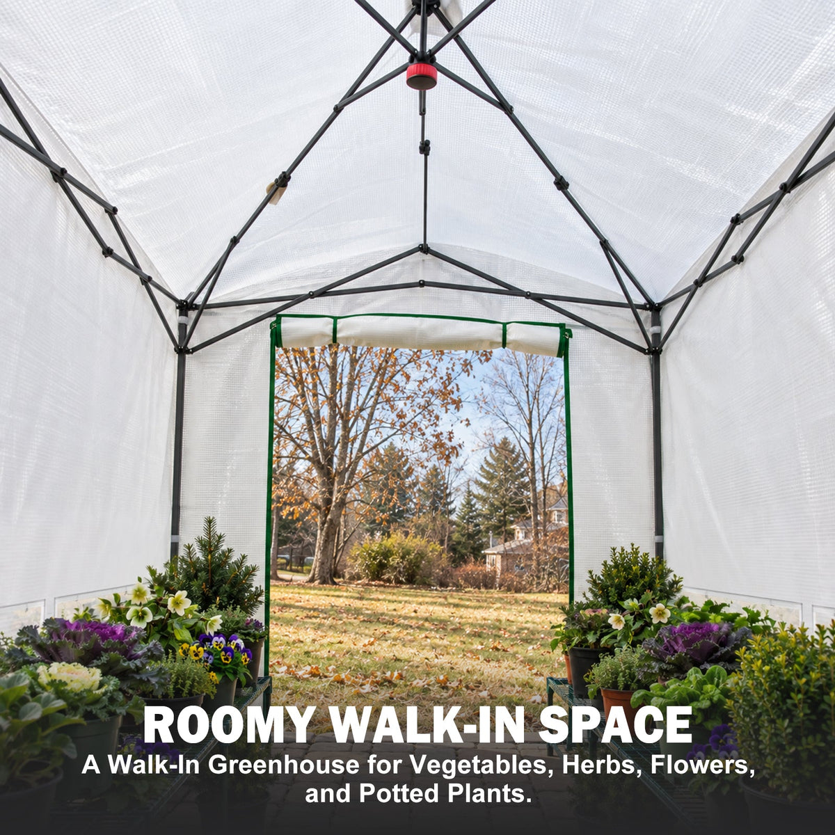 8x6/12x8 Easy Setup Pop Up Greenhouse, Support Pole - Eagle Peak®