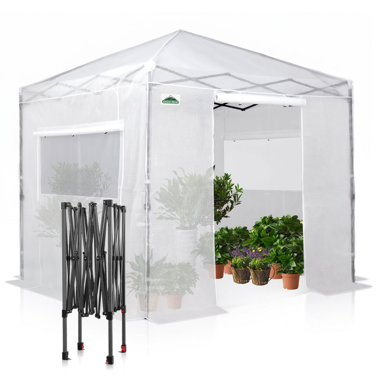 8x8 Easy Setup Pop Up Greenhouse - Eagle Peak®