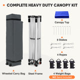 Heavy Duty 10x10 Pop Up Canopy Tent