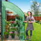 9.9x4.9x7.1 Outdoor Lean to Walk - in Greenhouse with Shelf - Eagle Peak