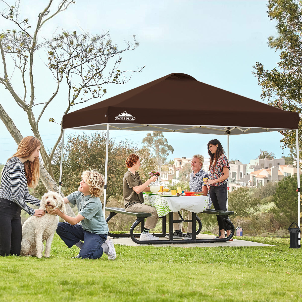 EAGLE PEAK E100/O100 Easy Setup 10x10 Straight Leg Pop Up Canopy Tent with 100 Sqft of Shade