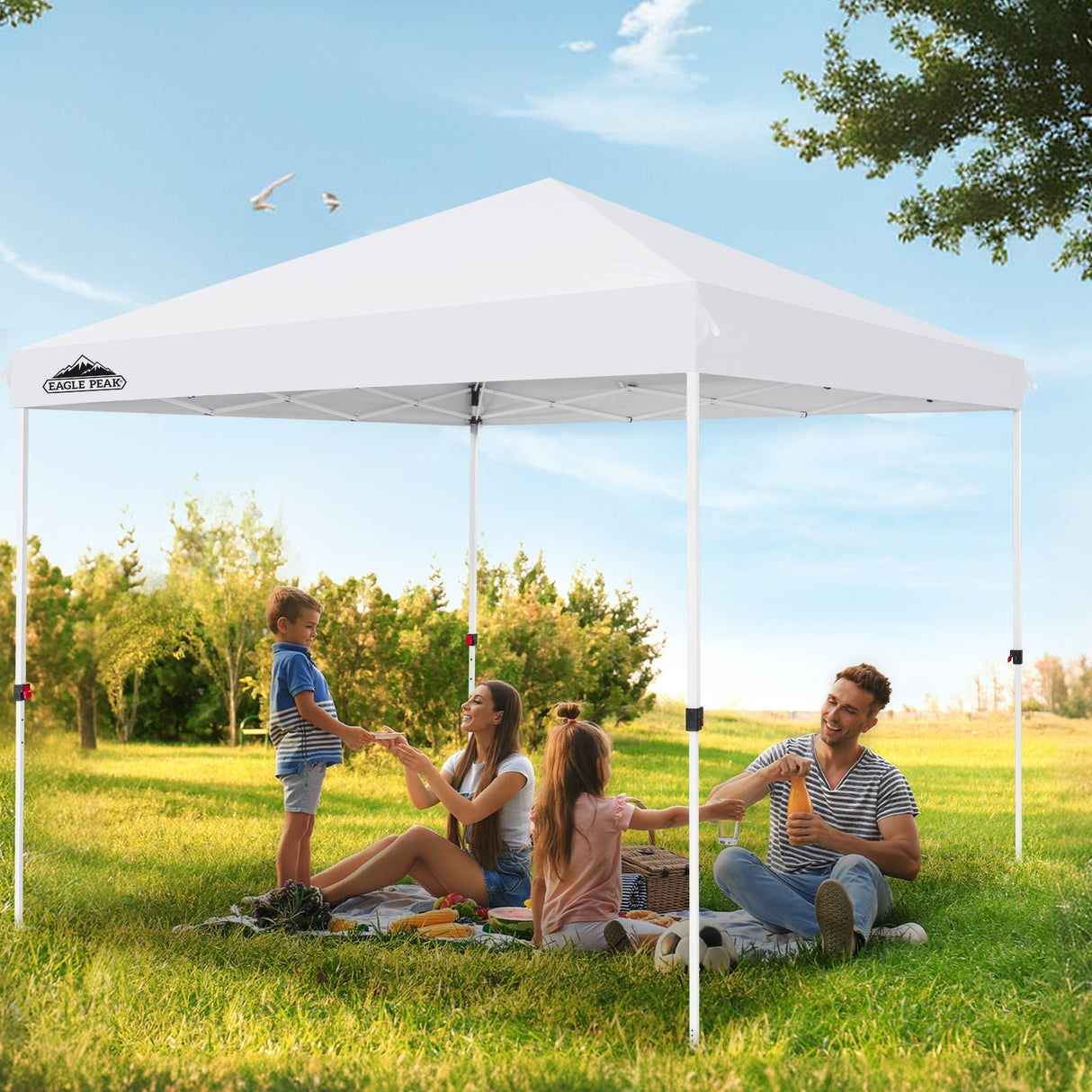 EAGLE PEAK 10x10 Outdoor Pop up Straight Leg Canopy with Wheeled Carry Bag, 100 Square Feet of Shade - Eagle Peak Canopy and Outdoor Products