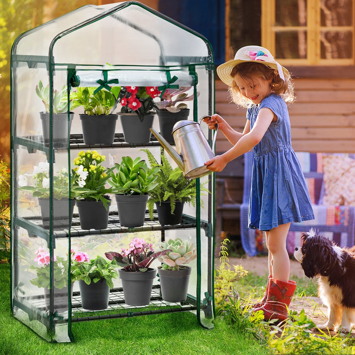 EAGLE PEAK 27" x 19" x 50" Mini Greenhouse - Eagle Peak Canopy and Outdoor Products