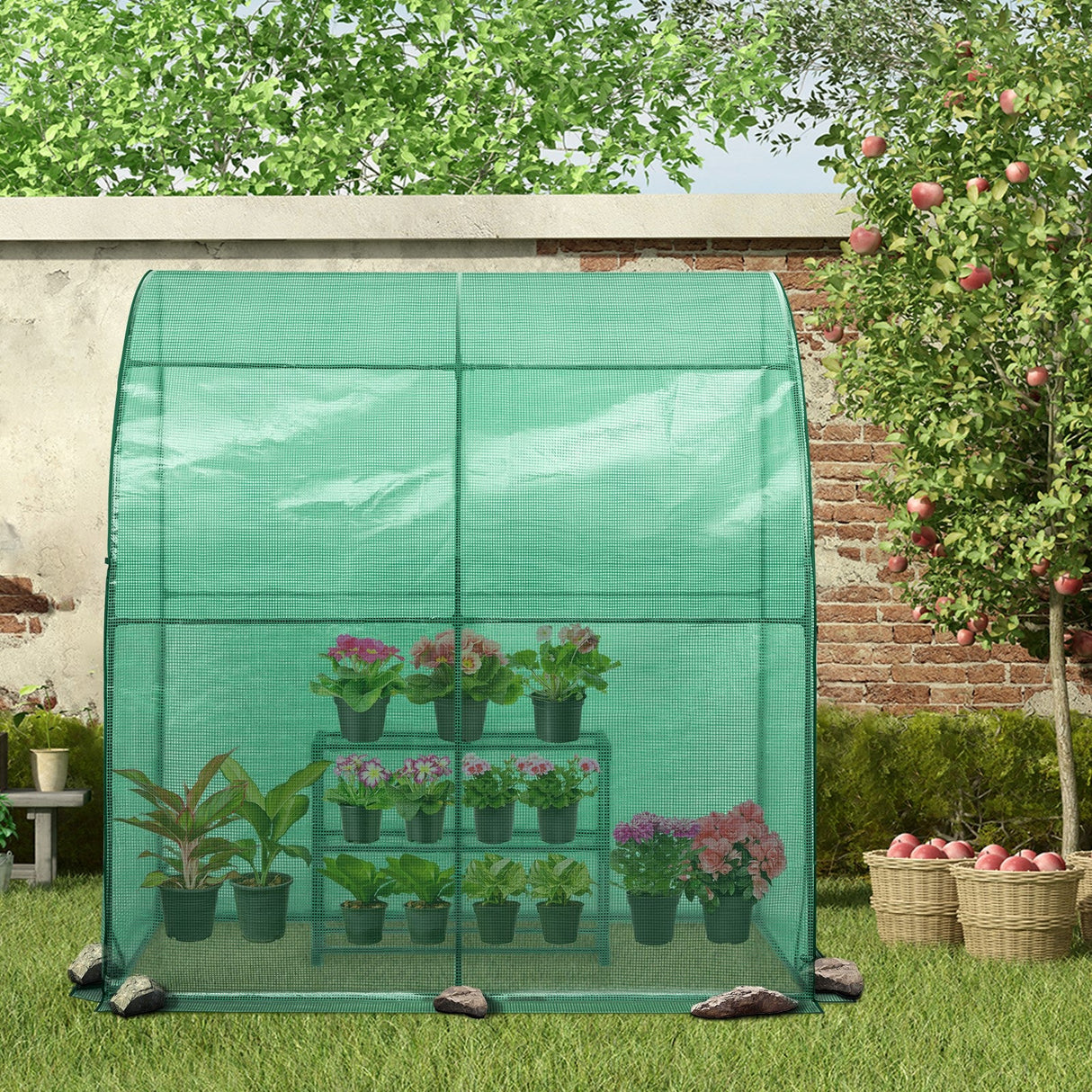 EAGLE PEAK 6.6x3.3x6.9 Outdoor Lean to Walk - in Greenhouse with Shelf - Eagle Peak Canopy and Outdoor Products