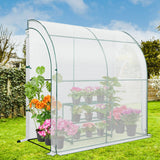 EAGLE PEAK 6.6x3.3x6.9 Outdoor Lean to Walk - in Greenhouse with Shelf - Eagle Peak Canopy and Outdoor Products