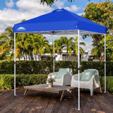 EAGLE PEAK 6.6x6.6 Pop Up Canopy Tent Instant Outdoor Canopy Easy Set - up Straight Leg - Eagle Peak Custom Canopy Tent