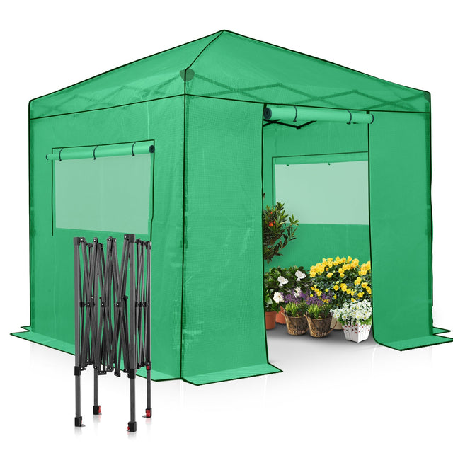 EAGLE PEAK 8x8 Portable Walk - in Greenhouse - Eagle Peak Canopy and Outdoor Products