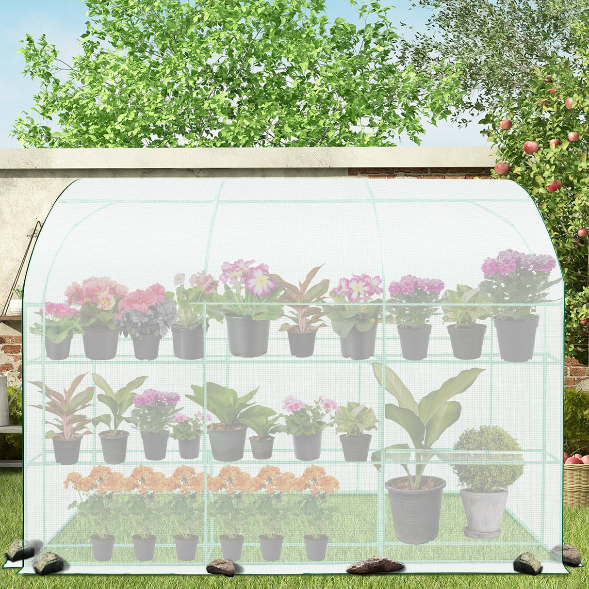 EAGLE PEAK 9.9x4.9x7.1 Outdoor Lean to Walk - in Greenhouse with Shelf - Eagle Peak Canopy and Outdoor Products