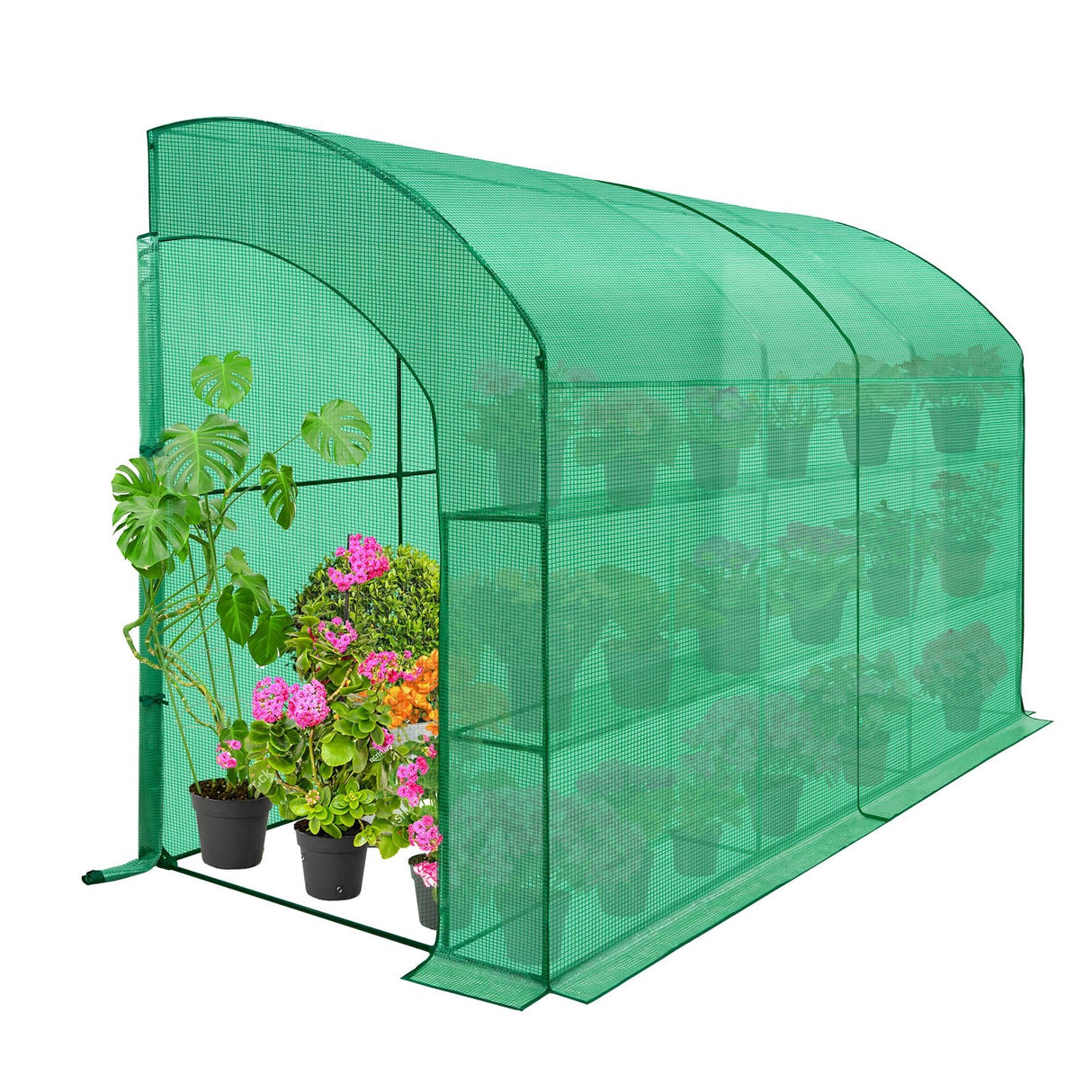 EAGLE PEAK 9.9x4.9x7.1 Outdoor Lean to Walk - in Greenhouse with Shelf - Eagle Peak Canopy and Outdoor Products