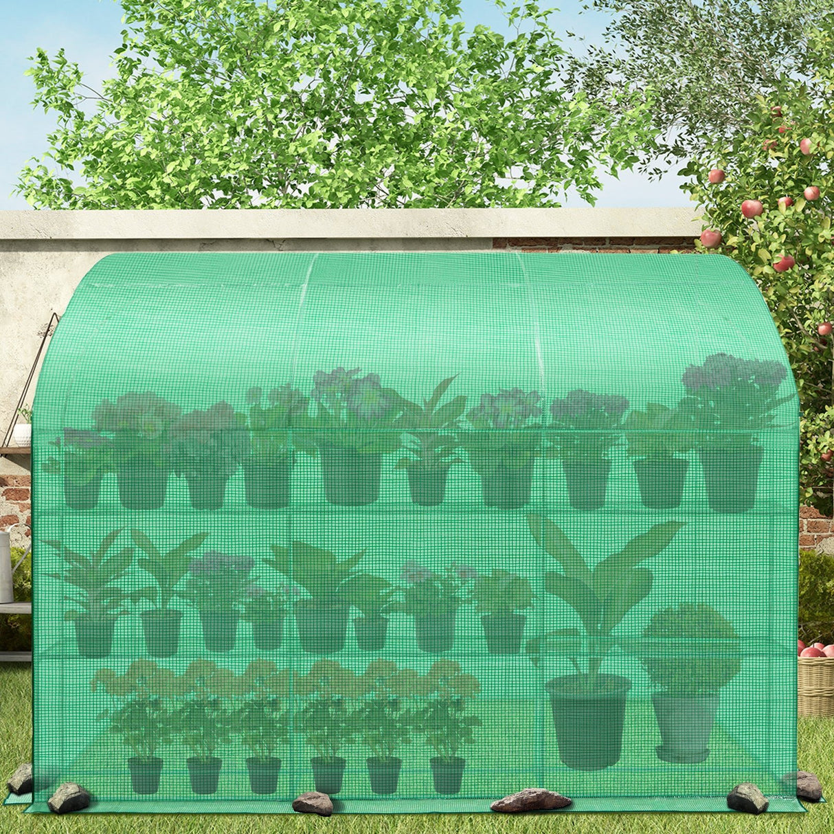 EAGLE PEAK 9.9x4.9x7.1 Outdoor Lean to Walk - in Greenhouse with Shelf - Eagle Peak Canopy and Outdoor Products