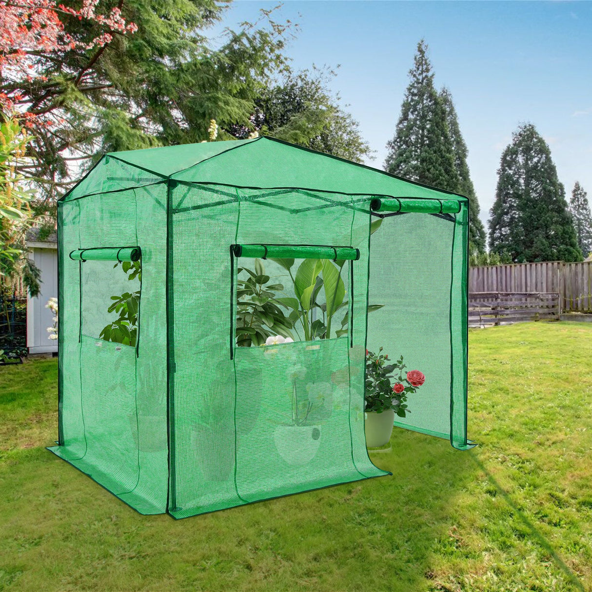 EAGLE PEAK Easy Fast Setup Instan 8x6 Pop Up Walk In Greenhouse - Eagle Peak Canopy and Outdoor Products