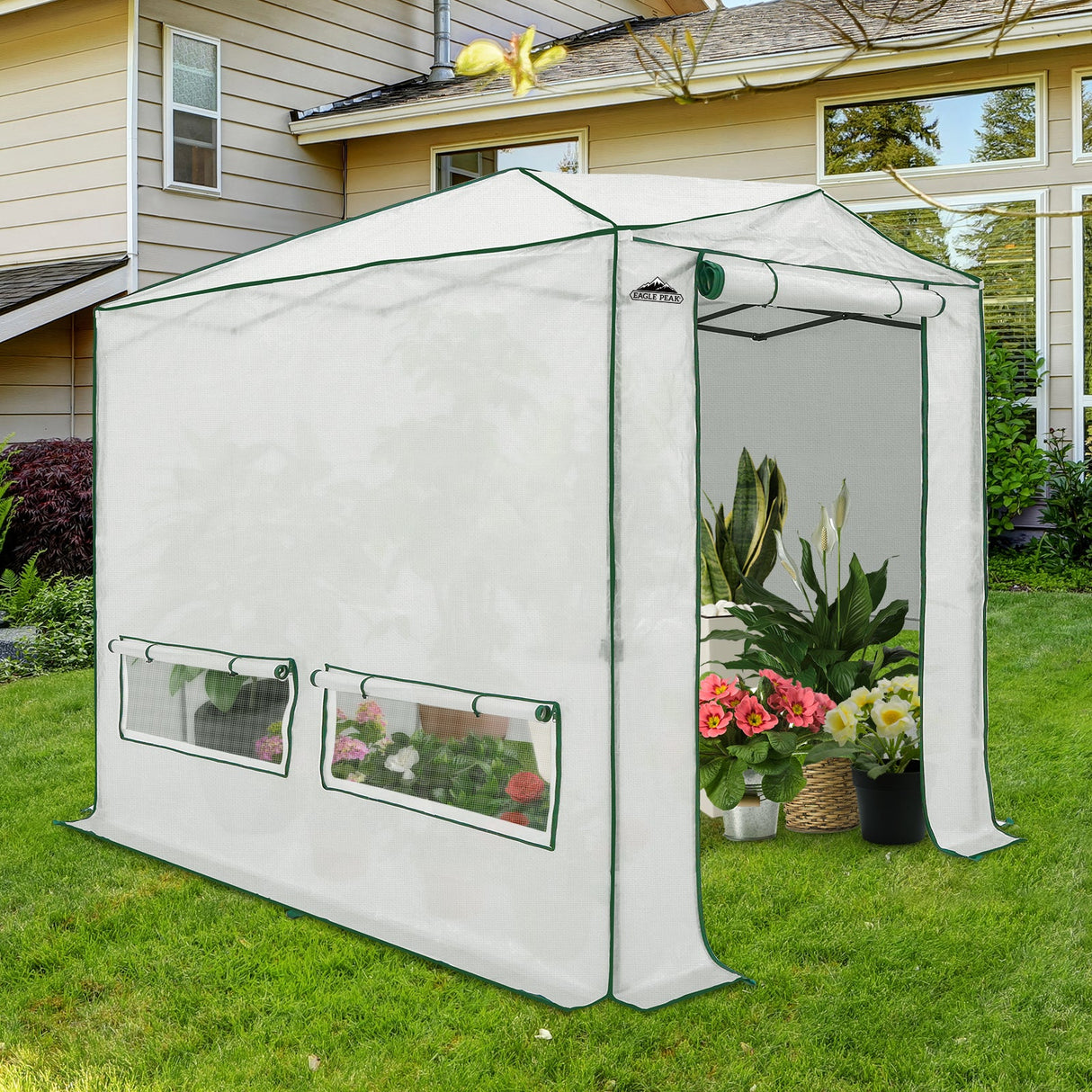 EAGLE PEAK Easy Fast Setup Instan 8x6 Pop Up Walk In Greenhouse - Eagle Peak Canopy and Outdoor Products