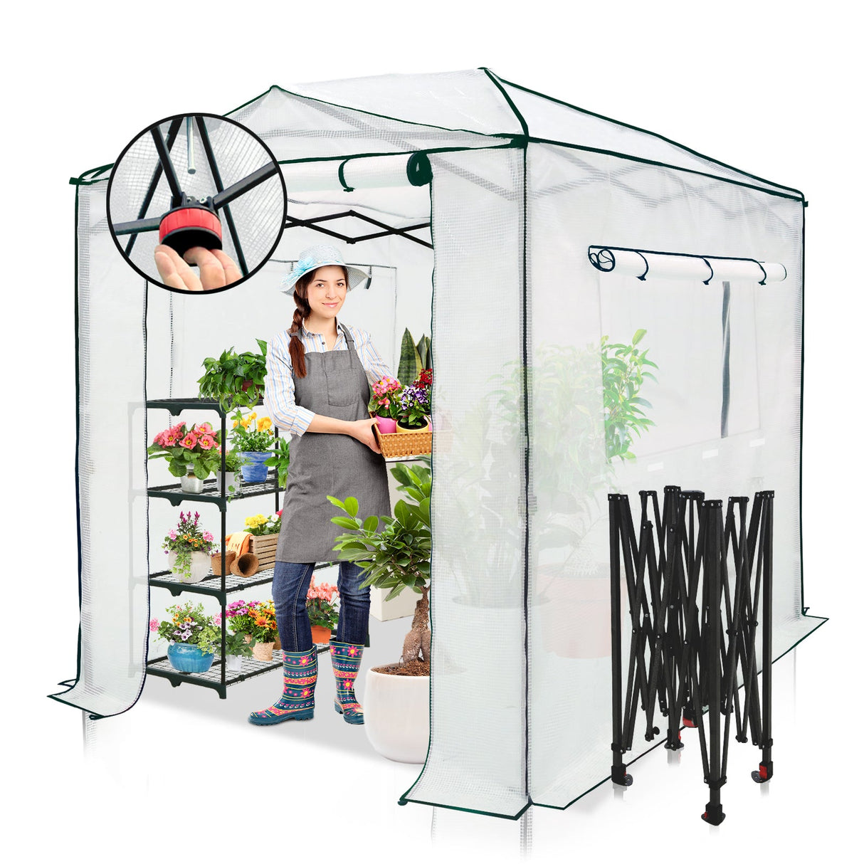 EAGLE PEAK Easy Fast Setup Instan 8x6 Pop Up Walk In Greenhouse - Eagle Peak Canopy and Outdoor Products