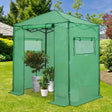 EAGLE PEAK Easy Fast Setup Instant 6x4 Walk - in Indoor/Outdoor Greenhouse - Eagle Peak Canopy and Outdoor Products