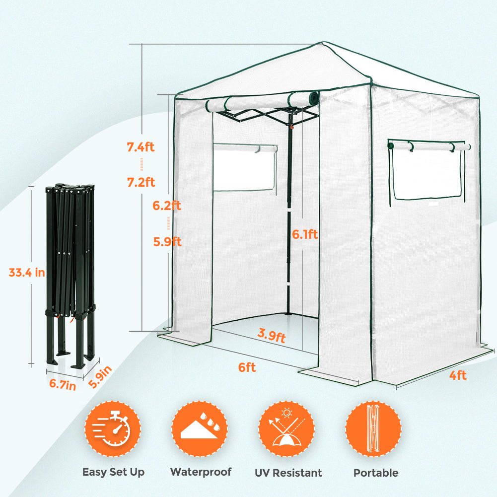 EAGLE PEAK Easy Fast Setup Instant 6x4 Walk - in Indoor/Outdoor Greenhouse - Eagle Peak Canopy and Outdoor Products