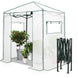 EAGLE PEAK Easy Fast Setup Instant 6x4 Walk - in Indoor/Outdoor Greenhouse - Eagle Peak Canopy and Outdoor Products