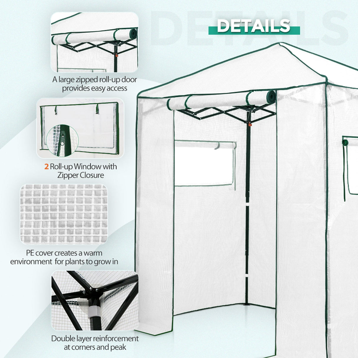 EAGLE PEAK Easy Fast Setup Instant 6x4 Walk - in Indoor/Outdoor Greenhouse - Eagle Peak Canopy and Outdoor Products