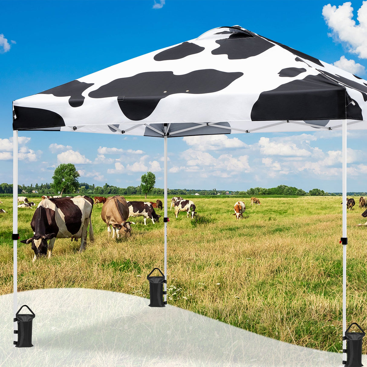 Eagle Peak SHADE GRAPHiX Easy Setup 10x10 Pop Up Canopy Tent with Digital Printed Cow Print Top - Eagle Peak Canopy and Outdoor Products