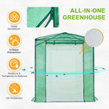 8x6 Walk-in Greenhouse with Upgraded Screen Mesh Door