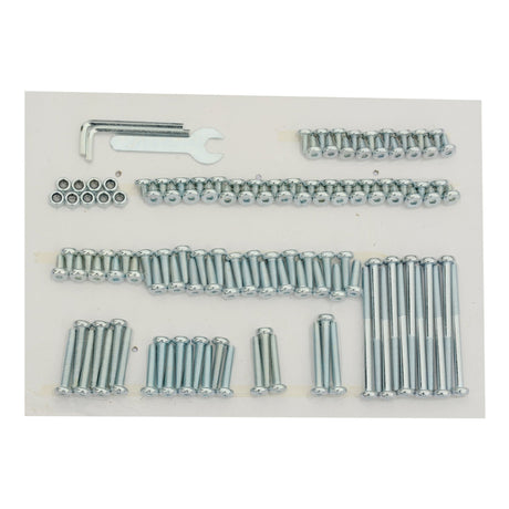 G40BBQ - GRY - AZ - Part SCREW SET - Eagle Peak Canopy and Outdoor Products