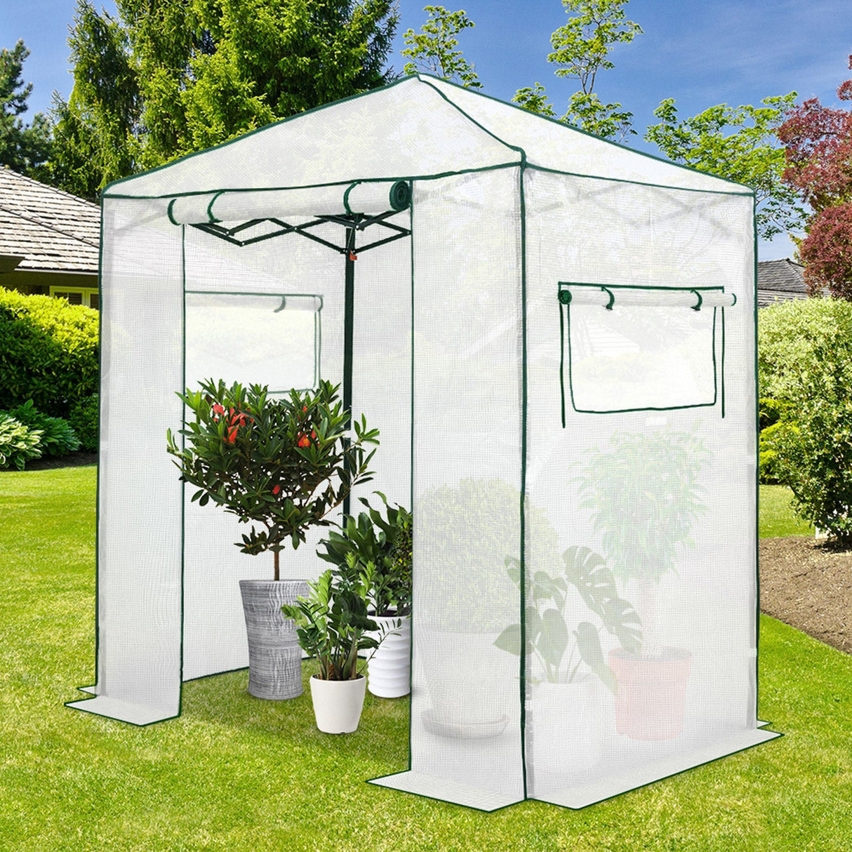 GH24 6x4 Pop Up Greenhouse Replacement Cover - Eagle Peak Canopy and Outdoor Products