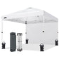 Heavy Duty 10x10 Pop Up Canopy Tent, 1 Canopy Sidewall - Eagle Peak®